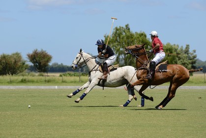 Argentine, province de Buenos Aires, San Antonio de Areco, estancia La Bamba de Areco, match de polo