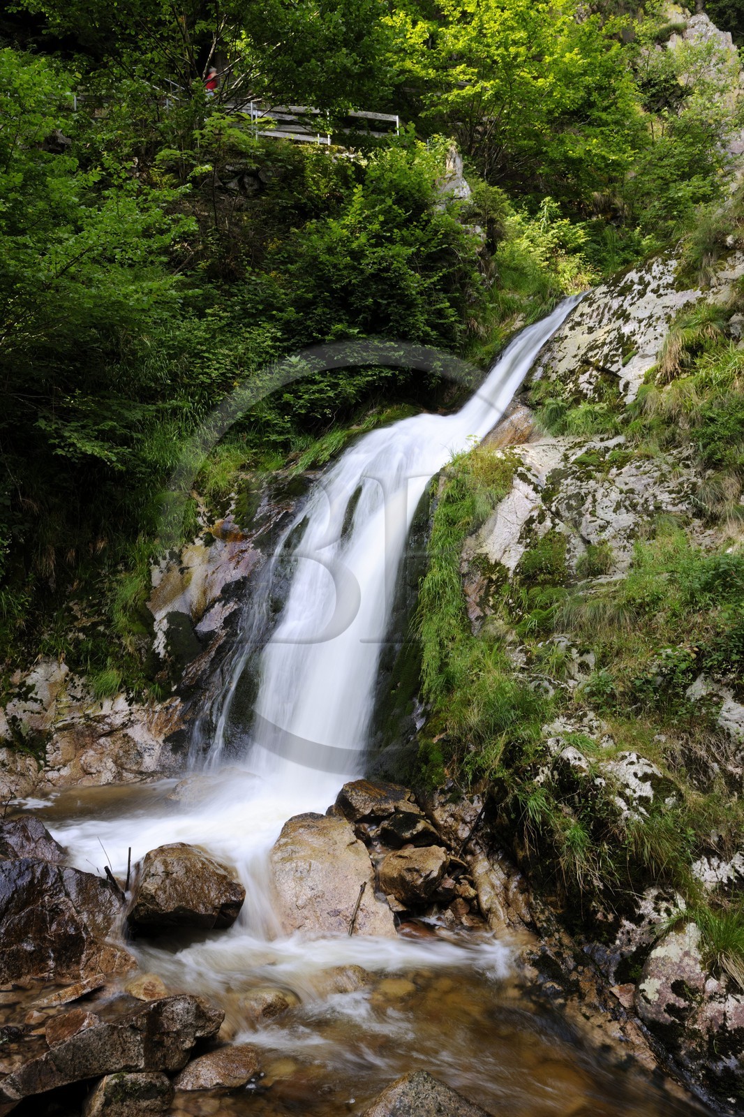 Allemagne, Forêt Noire, Schwartzwald, Bade-Würtemberg, les chutes du couvent Allerheiligen (Tous les saints)