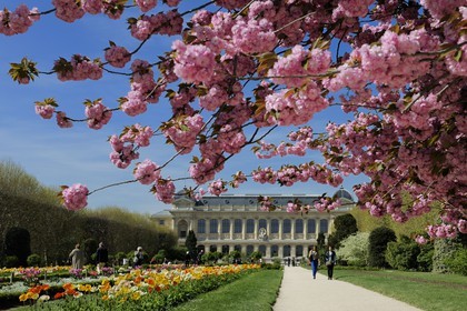 France, Paris (75), Muséum d'Histoire Naturelle, le Jardin des Plantes et la Grande Galerie de l’Évolution