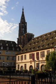 France, Bas-Rhin (67), Strasbourg, la cathédrale Notre-Dame derrière le musée Historique