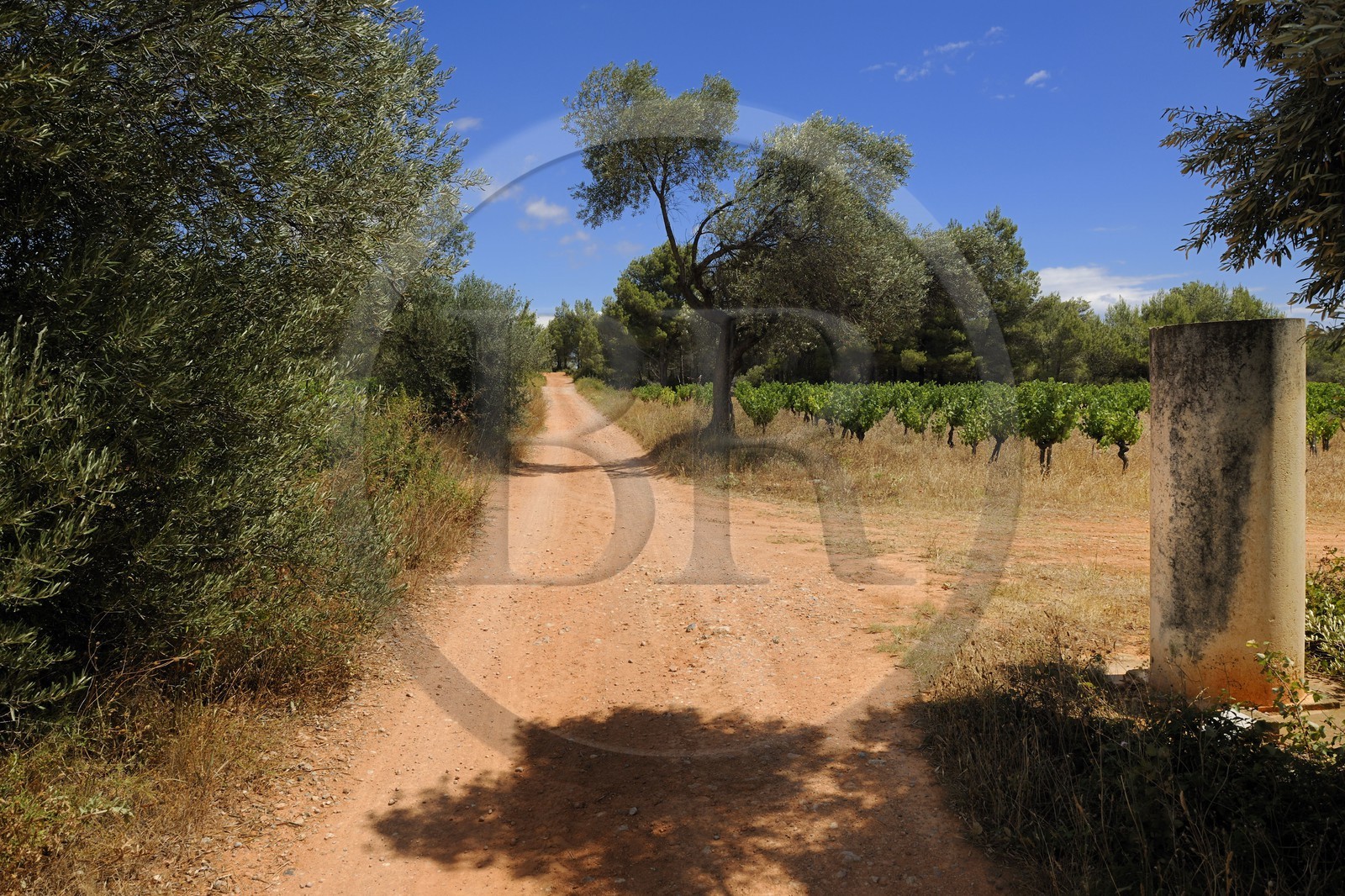 France, Hérault (34), région de Pinet, la voie Domitienne (Via Domitia) et borne milliaire romaine, tronçon bassin de Thau, en dehors des villes c'est un chemin en terre battue sur des couches stratifiées de gravier et de cailloutis