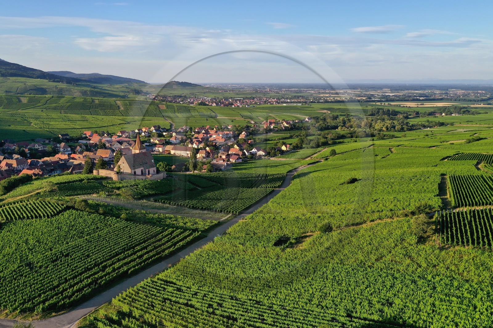 France, Haut-Rhin (68), Route des vins d'Alsace, Hunawihr, labellis