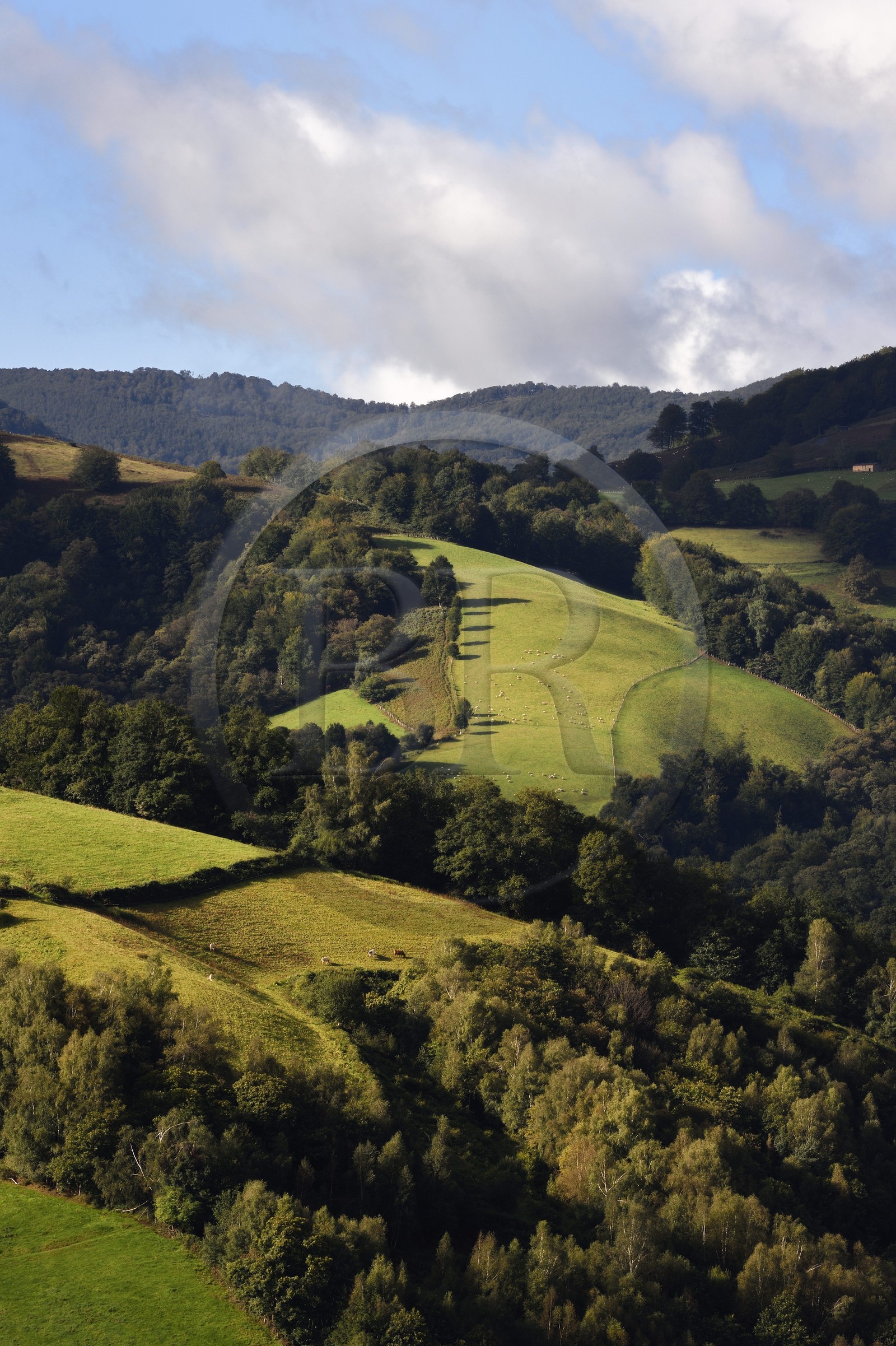 France, Pyrénées-Atlantiques (64), Pays-Basque, vallée des Aldudes