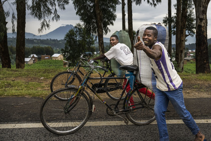 Rwanda, Province du Nord, District de Musanze (Ruhengeri),