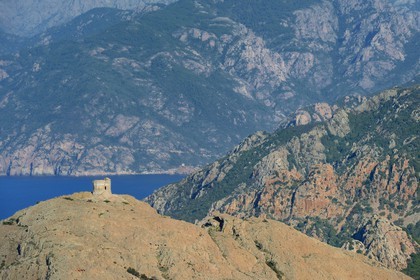 France, Corse-du-Sud (2A), Golfe de Porto, classé Patrimoine Mondial de l'UNESCO, le Capo Rosso et la Tour Génoise de Turghiu (Turghio) en arrière plan (vue aérienne)