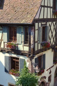 France, Haut Rhin, Riquewihr, labelled Les Plus Beaux Villages de France (The Most Beautiful Villages of France), half-timbered house