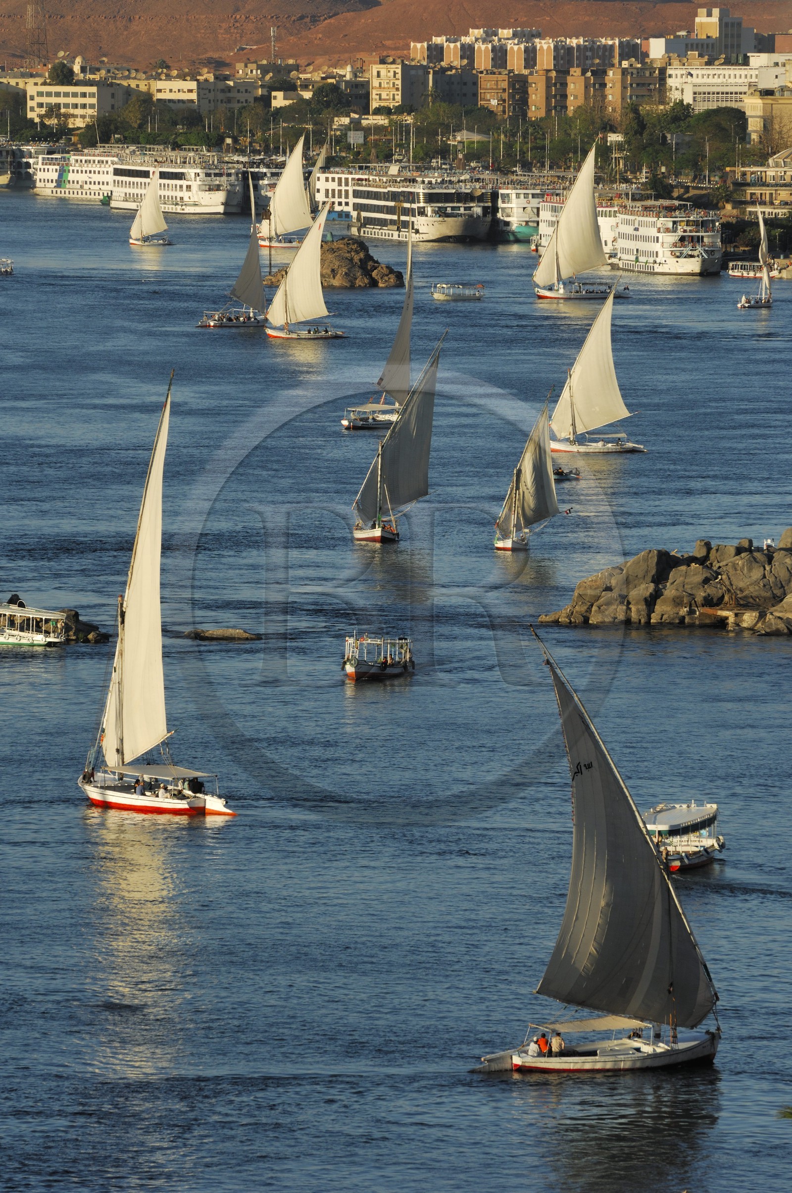 Egypte, Haute Egypte, Nubie, vallée du Nil, Assouan, felouques et bateau de croisière sur le Nil, le port en arrière plan