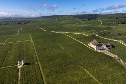 France, Cote d'Or, cultural Landscape of the climates of Burgundy listed as World Heritage by UNESCO, Route des Grands Crus (road of Vintage Wines), vineyard of the Côte de Nuits, Vougeot, the Chateau of Clos de Vougeot surrounded by vineyards and the luxury accommodation La Folie de Vougeot on the left (aerial view)