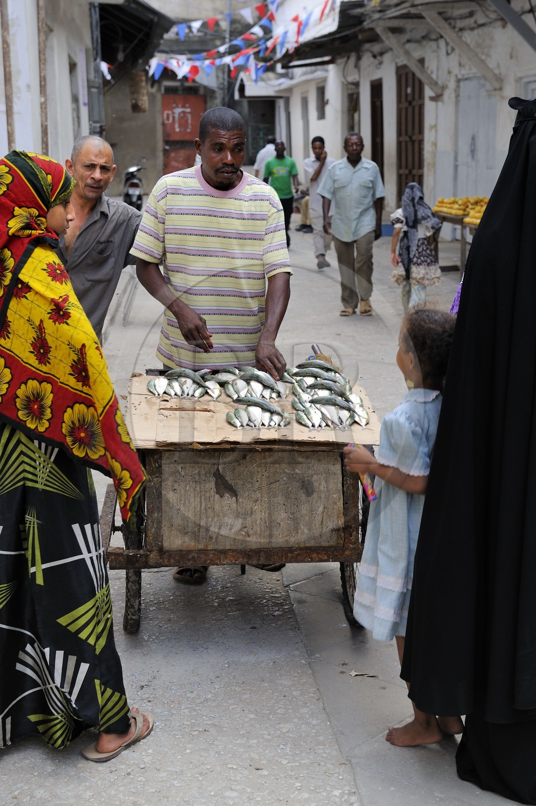 Tanzanie, archipel de Zanzibar, île de Unguja (Zanzibar), ville de Zanzibar, quartier Stone Town, classé Patrimoine Mondial de l' UNESCO, vendeur ambulant de poisson dans une ruelle de la vieille ville dans le quartier de Shangani