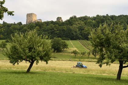 France, Haut-Rhin (68), Sundgau, Leymen, château du Landskron