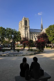 France, Paris (75), île de la Cité, la cathédrale Notre-Dame depuis le square René Viviani