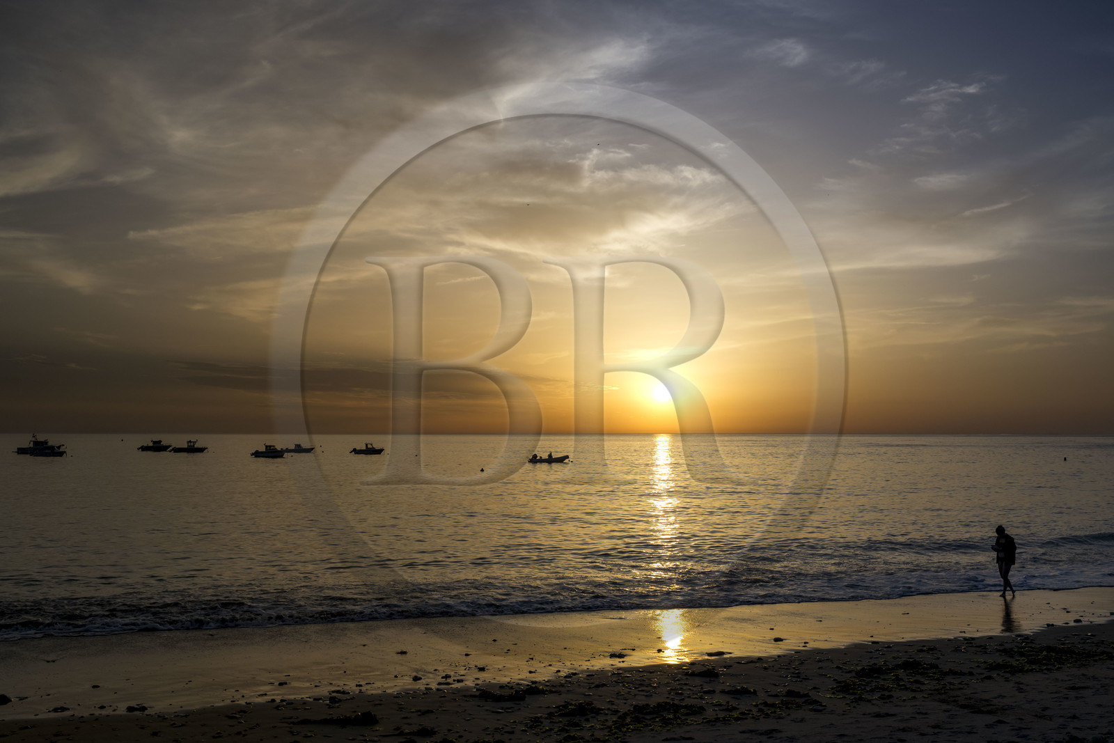 France, Charente Maritime, Oleron island, Saint Georges d'Oléron, Domino beach at sunset