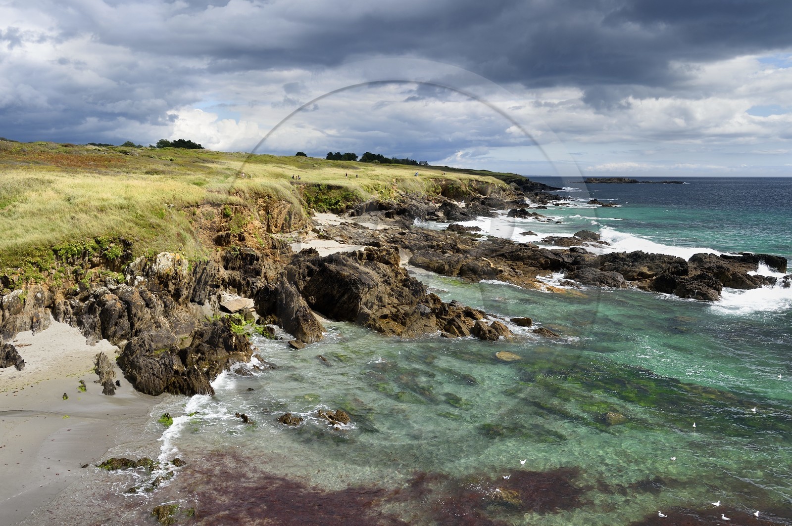 France, Finistère (29), Moelan-sur-Mer, le littoral entre Kerfany les Pins et la plage de Trenez sur le chemin de Grande Randonnée GR 34 ou sentier des douaniers