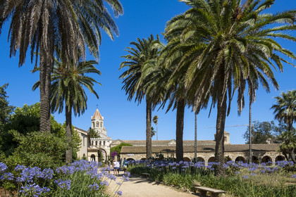 France, Alpes-Maritimes, Cannes, Lerins Islands, Saint-Honorat island, Abbey of Lerins, the abbey church