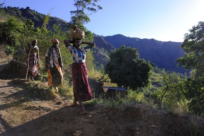 Tanzania, Morogoro district, Uluguru mountains, three women coming down the mountain around the former german refuge called Morningside