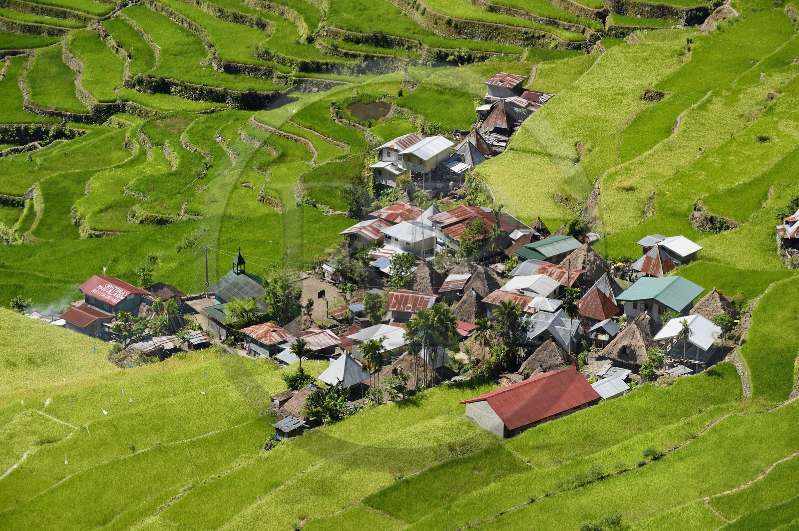 Philippines, Ifugao province, Banaue rice terraces around the village of Batad, listed as World Heritage by UNESCO