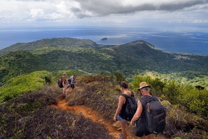 France, Mayotte island (French overseas department), Grande-Terre, Southern Crete Forest Reserve (Reserve Forestiere des Cretes du Sud), hikers coming down from the summit of Mount Choungui (594 meters)