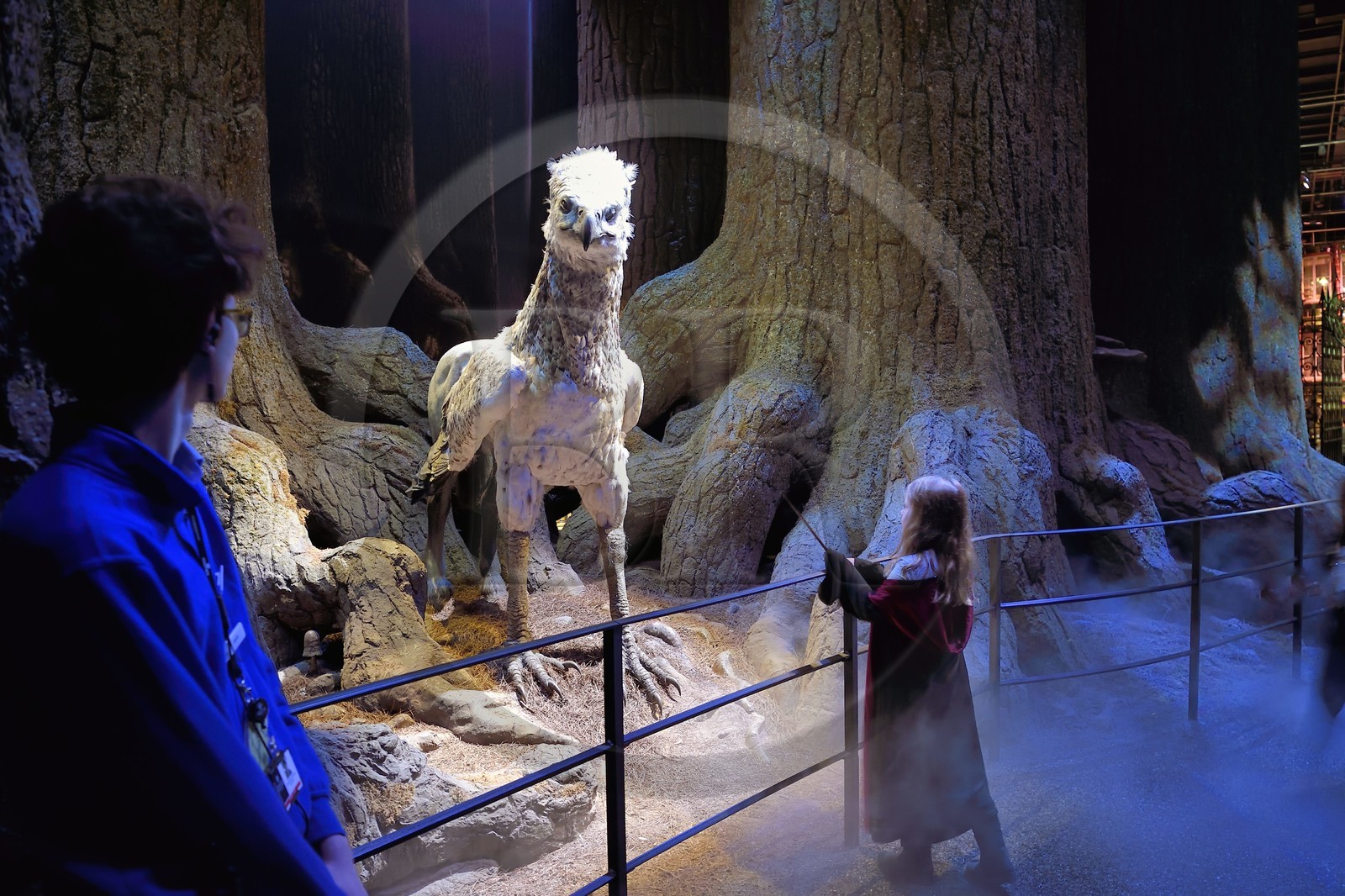 Royaume-Uni, Hertfordshire, Leavesden, Leavesden Film Studios, Harry Potter Studio Tour London, les coulisses du tournage des 8 films de Harry Potter, la mythique Forêt Interdite, Buck l’Hippogriffe