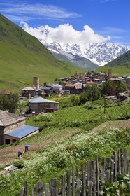 Géorgie, Haute Svanétie (Zemo Svaneti), village de Ushguli, classé Patrimoine Mondial de l'UNESCO, tours défensives Svanes dressées à coté des maisons et le mont Chkhara (plus haut sommet de Georgie avec 5 193 m) en arrière plan, deux fermiers labourent leur champ