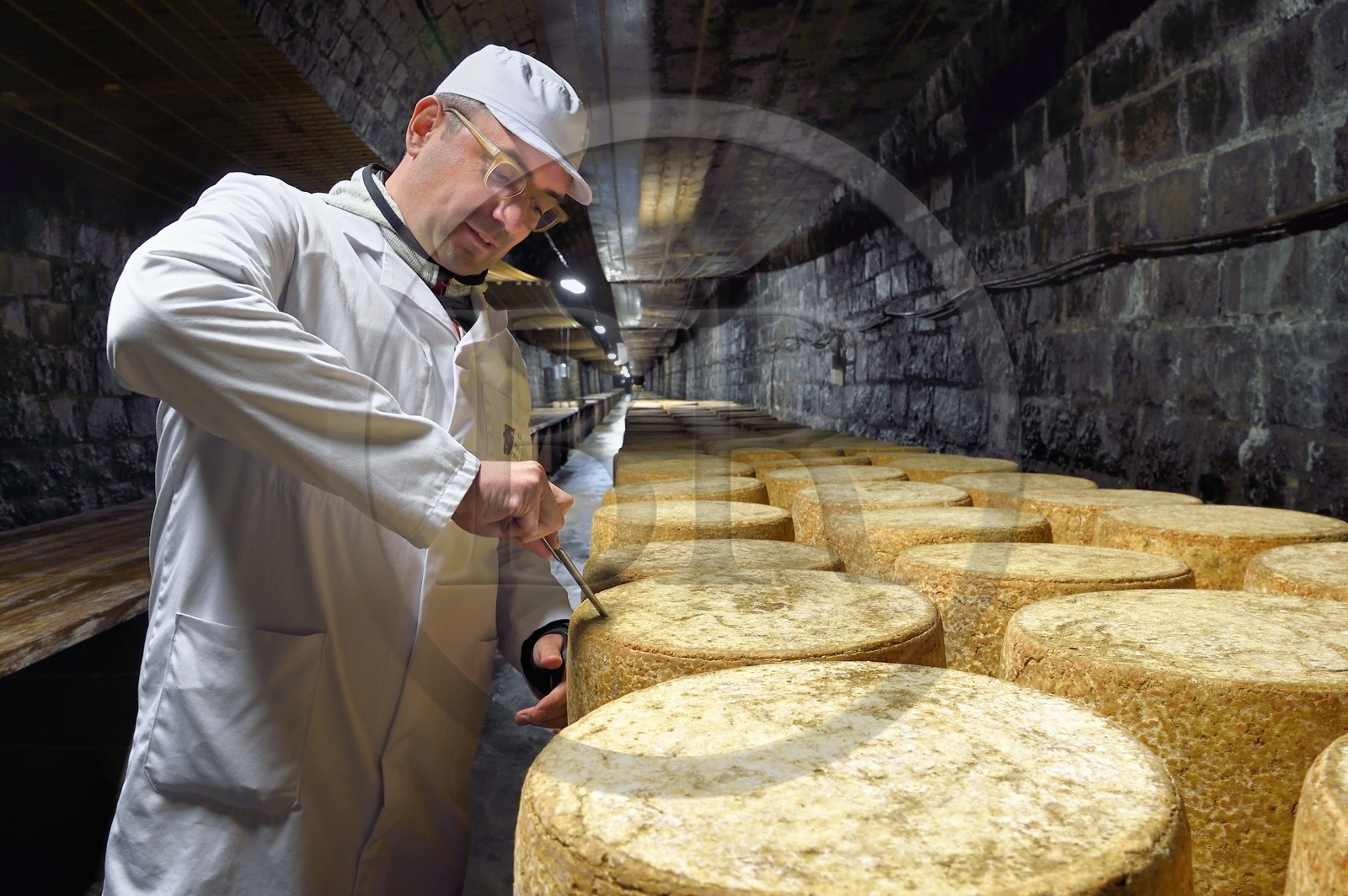 France, Cantal (15), La Chapelle-Laurent, cave d'affinage pour les fromages Marcel Charrade dans l'ancien tunnel ferroviaire de la ligne Saint-Flour - Brioude long d’un kilomètre, le directeur et maitre-affineur Géraud Brunhes procède au carottage d'une meule de fromage Cantal pour vérifier sa maturation