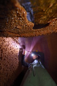France, Bas Rhin, the Alsace Wine Route, Mittelbergheim, labelled Les Plus Beaux Villages de France (The Most Beautiful Villages of France), Domaine Wittmann wine cellar, inside of a large wine barrel cleaning