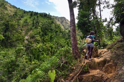 Caribbean, Dominica Island, Castle Bruce, Morne Trois Pitons National Park listed as World heritage by UNESCO, hiker on the trail leading through the rainforest to the Desolation Valley and then to Boiling Lake