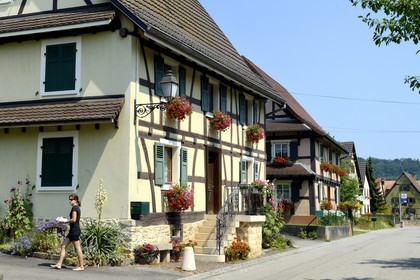 France, Haut Rhin, Sundgau, Hirtzbach, half-timbered house in the main street