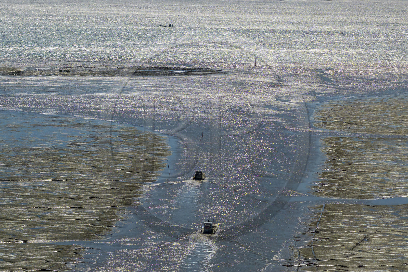 France, Charente-Maritime (17), Ile d'Oléron, le Chateau-d'Oléron, bateau ostréicole dans le chenal de sortie du port à marée basse et pecheurs à pied sur l'estran (vue aérienne)