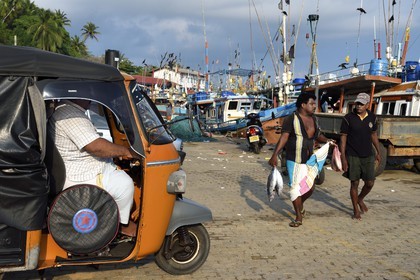Sri Lanka, Province du Sud, Matara (district), Weligama, port de pêche de Mirissa
