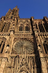 France, Bas Rhin (67), Strasbourg, la cathédrale Notre-Dame, travaux d'entretien sur la facade par des alpinistes en rappel