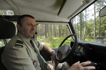 France, Loire et Cher, domaine du château de Chambord, visite guidée en 4x4 par François Coutant de l' ONF