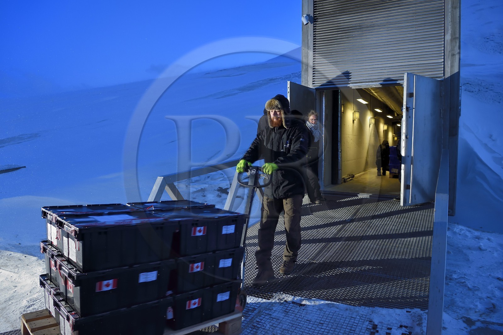 Norvège, Svalbard, Spitzberg, Longyearbyen, la Réserve mondiale de semences du Svalbard (banque de graines du Global Seed Vault) permet une sauvegarde de sécurité pour les collections existantes de banques de gènes, livraison des semences par NordGen
