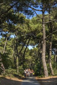 France, Charente-Maritime (17), Royan, Les Mathes, cyclistes sur la Vélodyssée, la piste cyclable EuroVelo1 qui longe l’Atlantique au nord de La Palmyre