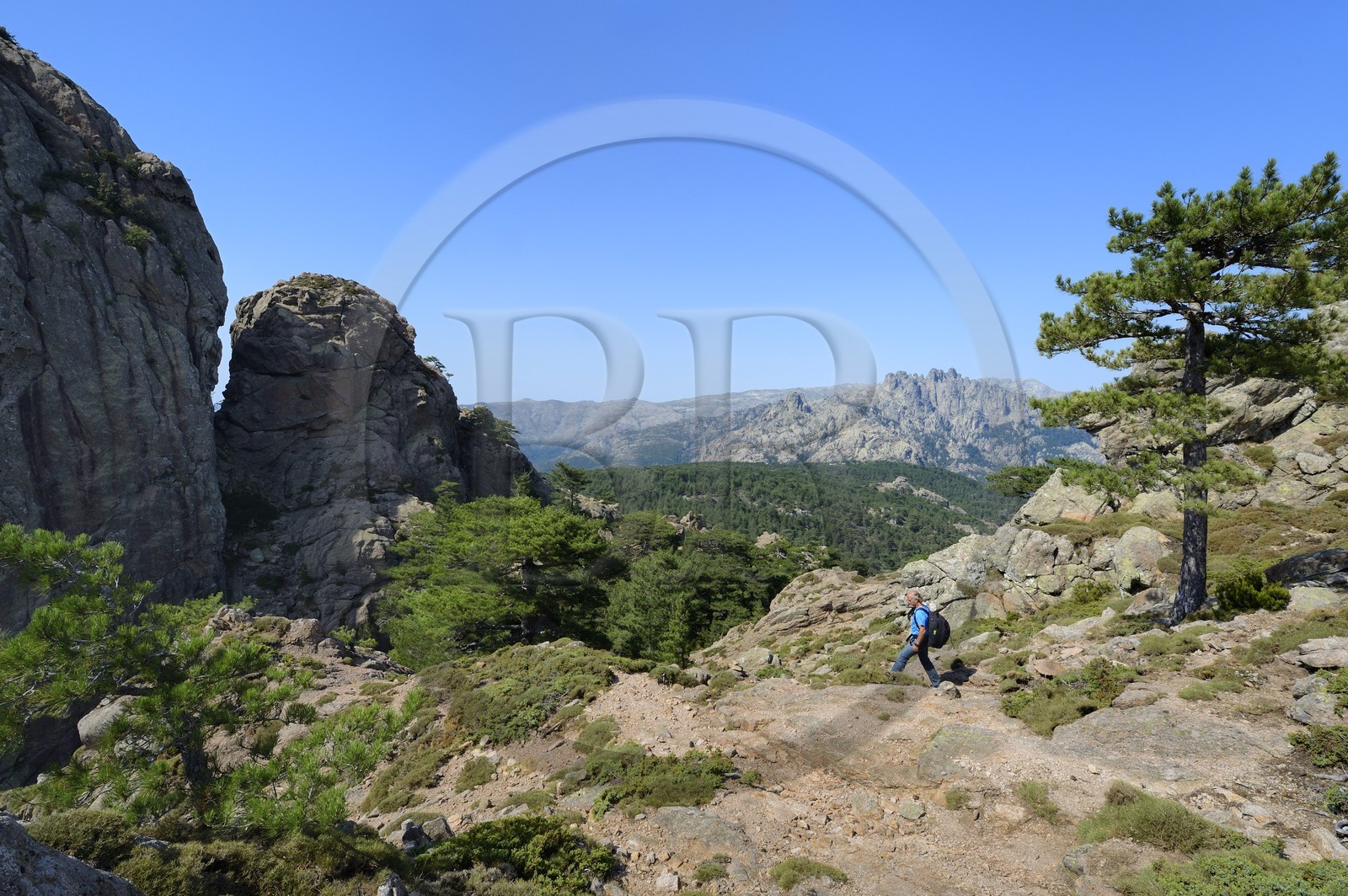 France, Corse-du-Sud (2A), Alta Rocca, randonnée dans le massif de Bavella au Punta Velacu France, Corse-du-Sud (2A), Alta Rocca, randonnée dans le massif de Bavella au Punta Velacu