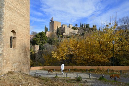 Spain, Andalusia, Granada, the Alhambra, listed as World Heritage by UNESCO, the Alcazaba