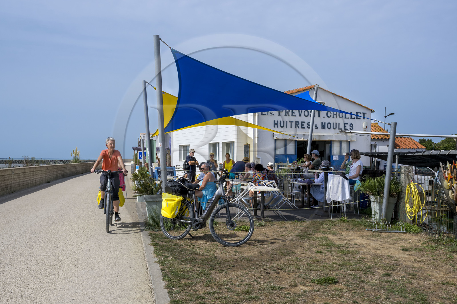 France, Charente-Maritime (17), Yves, vente en direct et dégustation de moules et d'huîtres en bordure de la piste cyclable de la Vélodyssée au front de mer des Boucholeurs