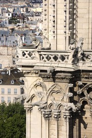France, Paris (75), île de la Cité, la cathédrale Notre-Dame, les gargouilles et les chimères observent la ville