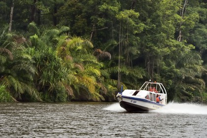 Gabon, province de Ogooué- Maritime, bateau à moteur remontant une rivière de la lagune du Fernan Vaz (Nkomi)