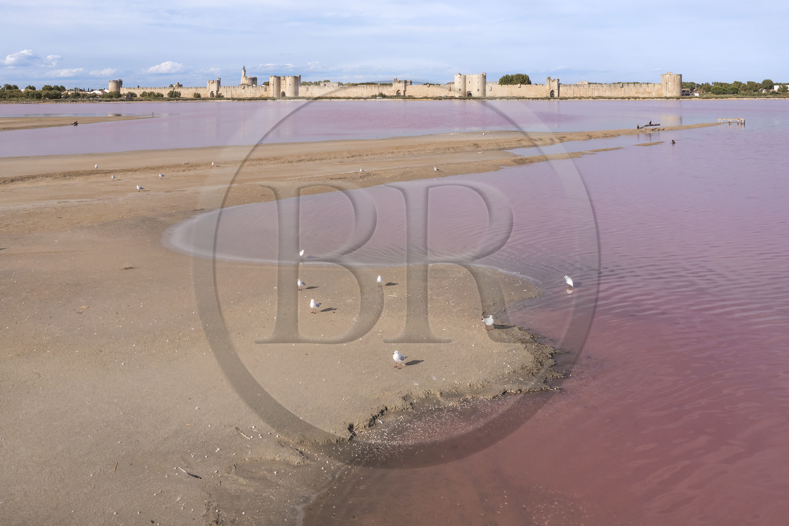 France, Gard (30), Aigues-Mortes, la ville médiévale entourée par ses remparts en bordure des marais salants (Salins du Midi) (vue aérienne)