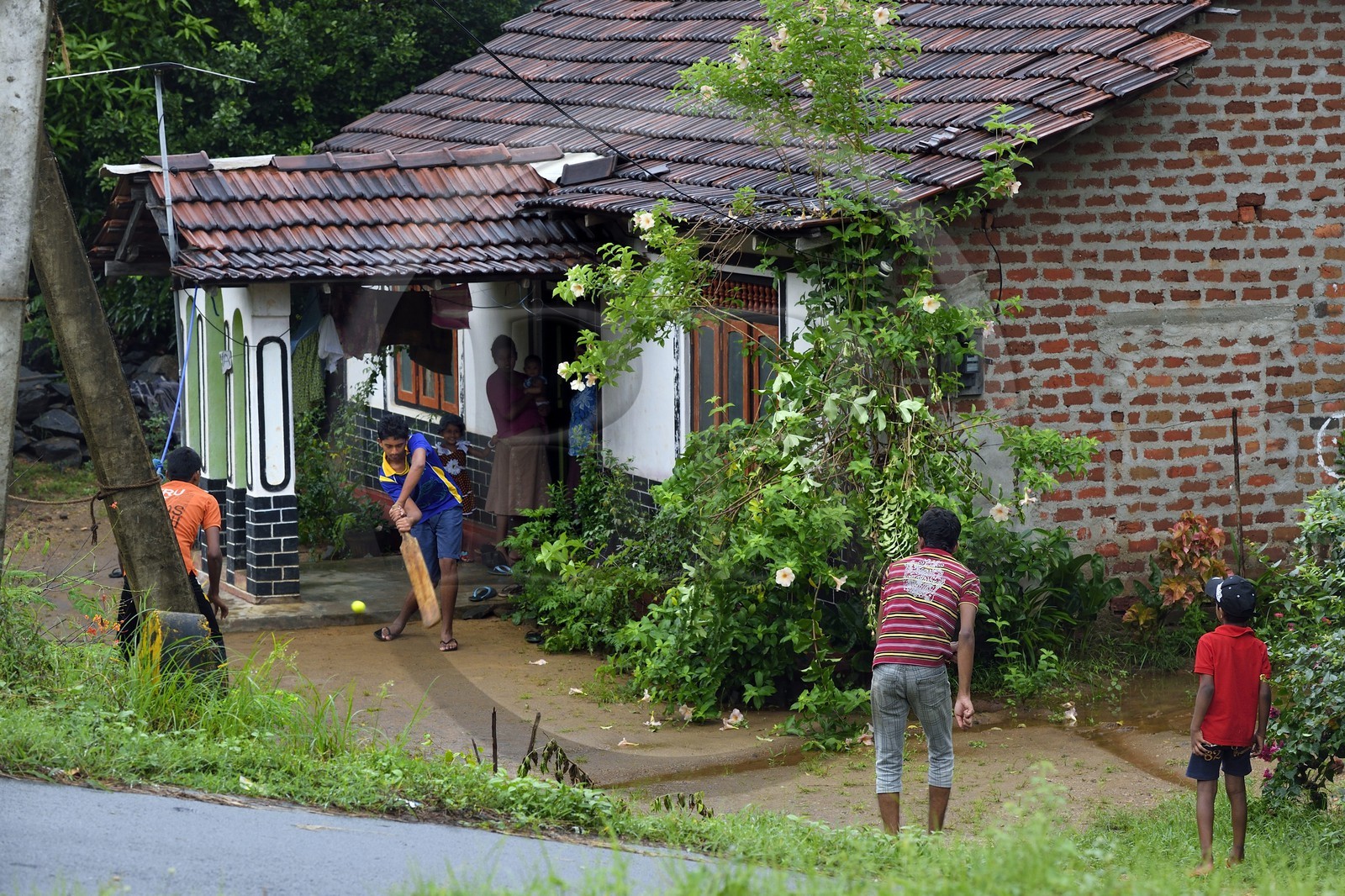 Sri Lanka, province de l'Est, Kantale (Kantalai), enfants jouant au cricket devant leur maison