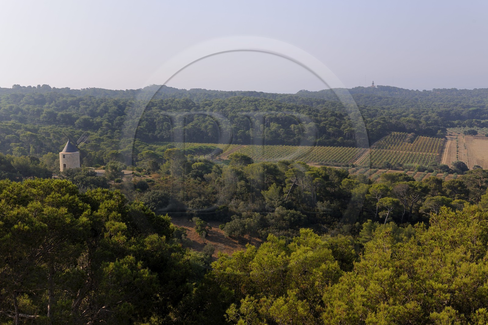 France, Var (83), Iles d'Hyères, parc national de Port-Cros, île de Porquerolles, Le Moulin du Bonheur est un vieux moulin à vent provençal datant du XVIIIème siècle