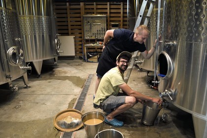 France, Bas Rhin, the Alsace Wine Route, Scherwiller, biodynamic wine estate Achillée in a building entirely of natural construction, Jean Dietrich made a racking of its tanks
