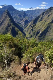 France, Reunion island (French overseas department), Reunion National Park listed as World heritage by UNESCO, La Possession, around village of Dos d'Ane, Roche Bouteille hike, hikers on a ladder of the Cap Noir trail and the Cirque de Mafate