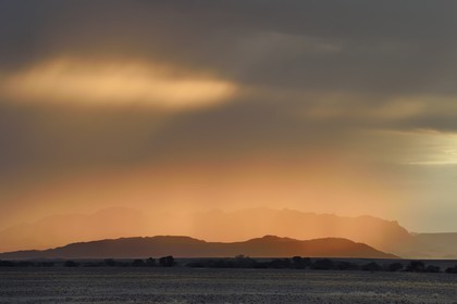 Namibia, Hardap region, Namib desert, Namib-Naukluft national park, Namib Sand Sea listed as World Heritage by UNESCO, Sossusvlei at dawn