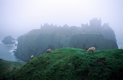 Royaume-Uni, Ecosse, Aberdeenshire, au sud de Stonehaven, le château de Dunnottar dans la brume