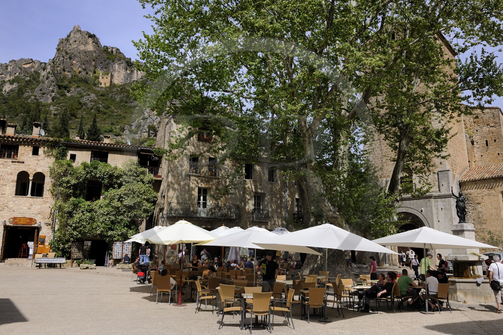 France, Hérault (34), village médiéval de Saint-Guilhem-le-Désert, labellisé Les Plus Beaux Villages de France, la place du village (place de la Liberté) et son platane centenaire