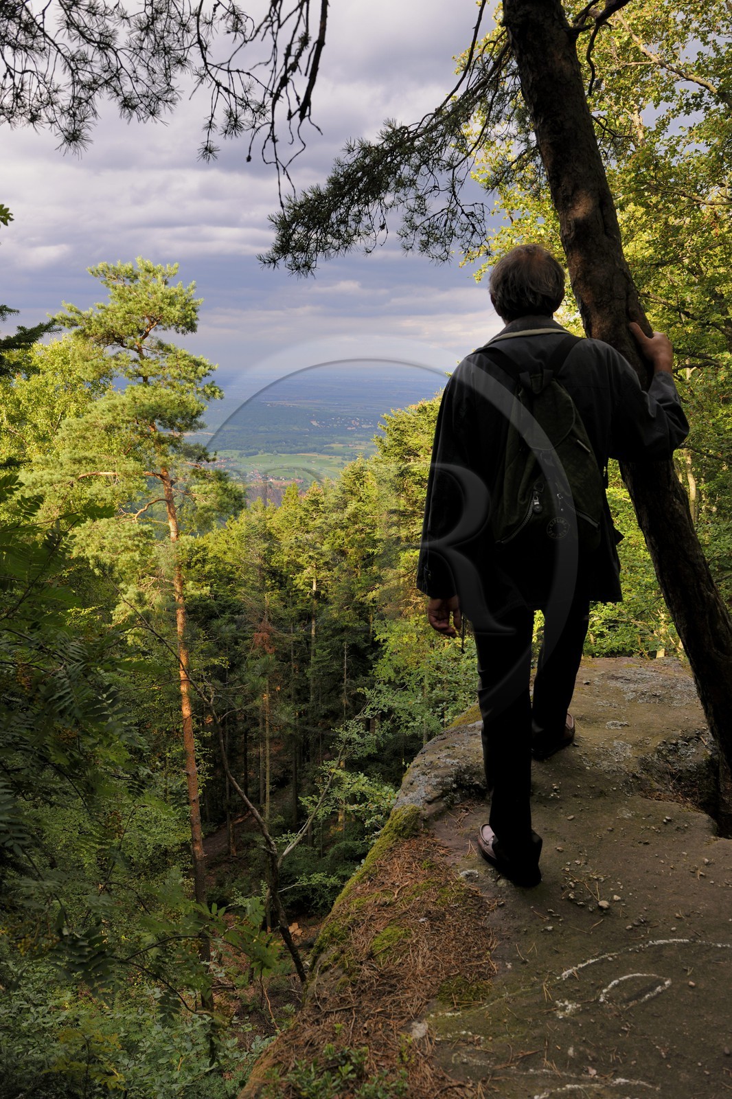 France, Bas-Rhin (67), le Mont Saint-Odile, vue depuis un rocher en bordure du mur païen