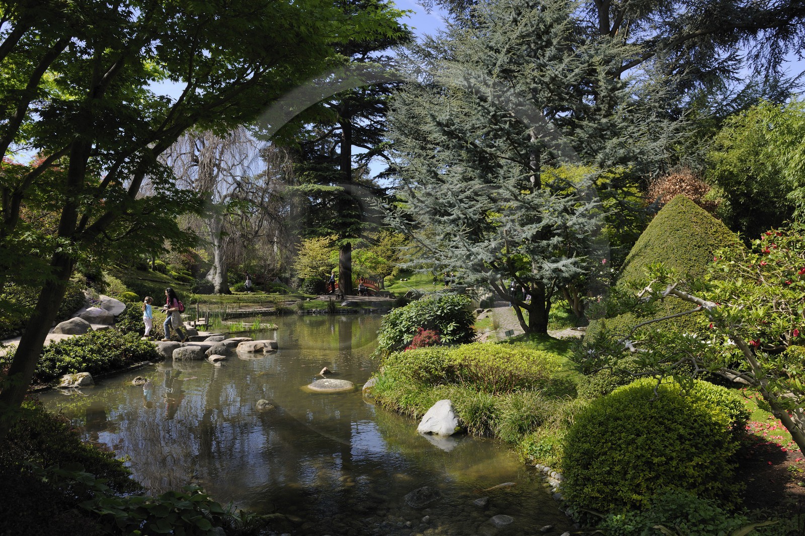 France, Hauts-de-Seine (92), Boulogne-Billancourt, le jardin japonais du musée départemental Albert-Kahn