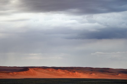 Namibie, région d'Hardap, désert du Namib, parc national du Namib-Naukluft, Erg du Namib classé Patrimoine Mondial de l'UNESCO, dunes de Sossusvlei