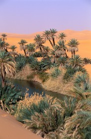 Libya, region of the desert, the Fezzan (Sahara), Erg Ubari, Lake of Oum El Ma